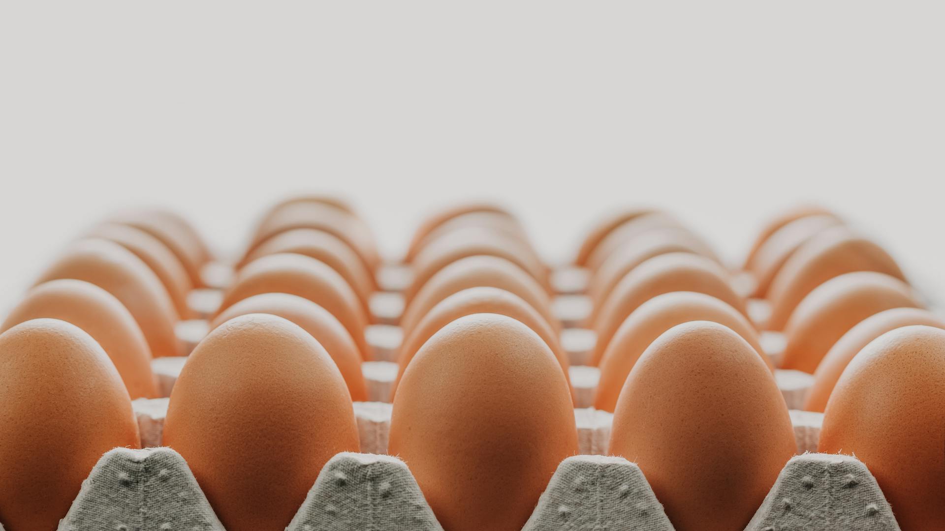 pexels-photo-8236168-2