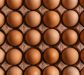 Cómo incluir más fibra en tus comidas diarias