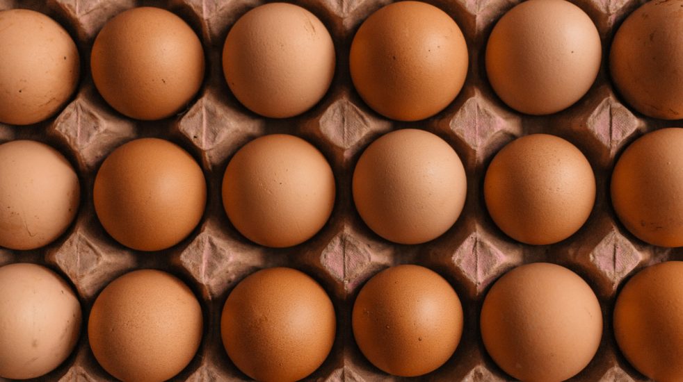 Cómo incluir más fibra en tus comidas diarias